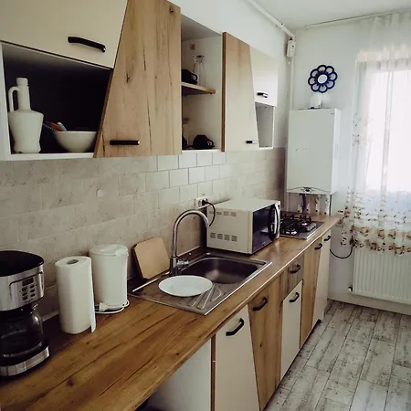 아파트 Spacious 2-bedroom Near Dragonul Rosu