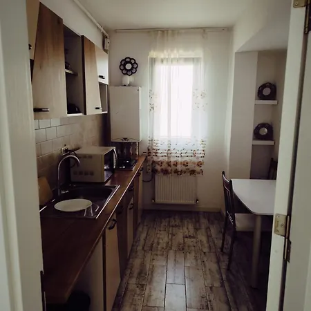 Spacious 2-bedroom Near Dragonul Rosu 아파트 부쿠레슈티